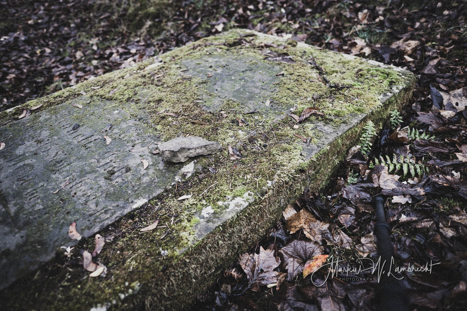 Bovenden, Jüdischer Friedhof